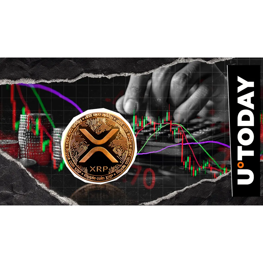 Swift executive compares XRP to fax machine technology in financial commentary Swift executive compares XRP to fax machine technology in financial commentary