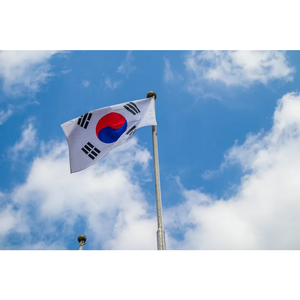 BOK New Governor Signals CBDC Push BOK New Governor Signals CBDC Push