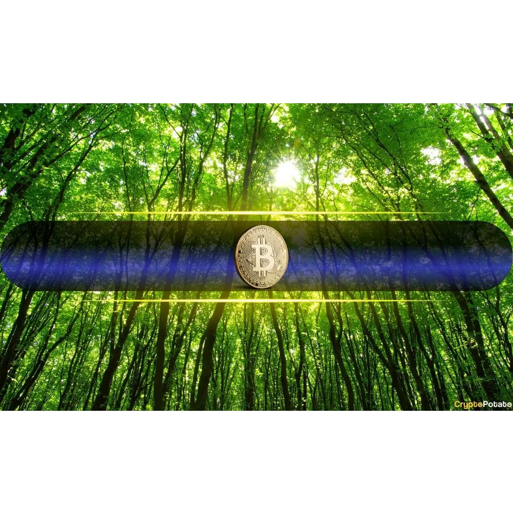 Bitcoin metrics mirror 2017 and 2020 patterns suggesting potential new highs Bitcoin metrics mirror 2017 and 2020 patterns suggesting potential new highs