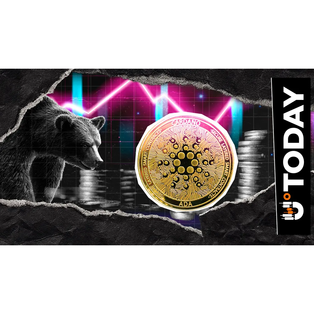 9,980,000 in 24 Hours: Cardano 13% Open Interest Surge Stuns Bears 9,980,000 in 24 Hours: Cardano 13% Open Interest Surge Stuns Bears