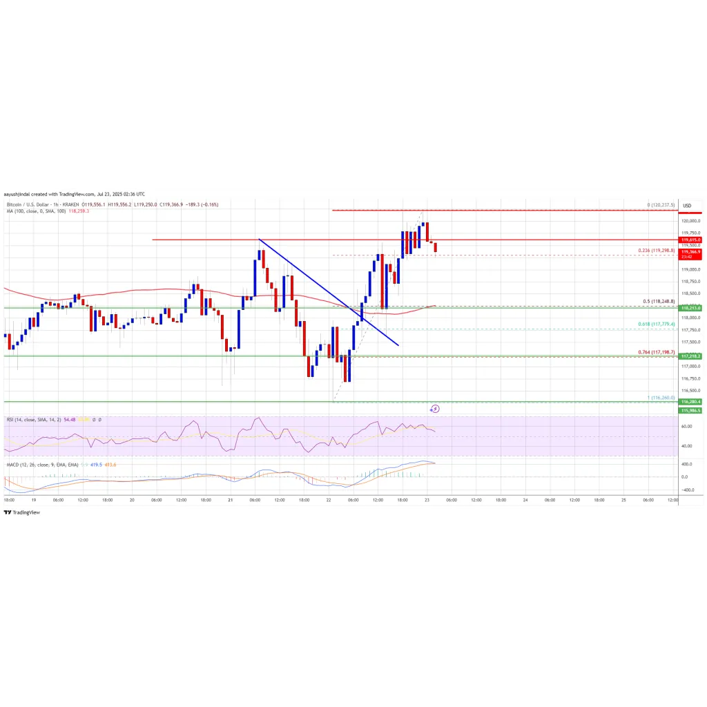 Bitcoin Price Sets Up for Another Move—Can the Bulls Seal the Deal? Bitcoin Price Sets Up for Another Move—Can the Bulls Seal the Deal?