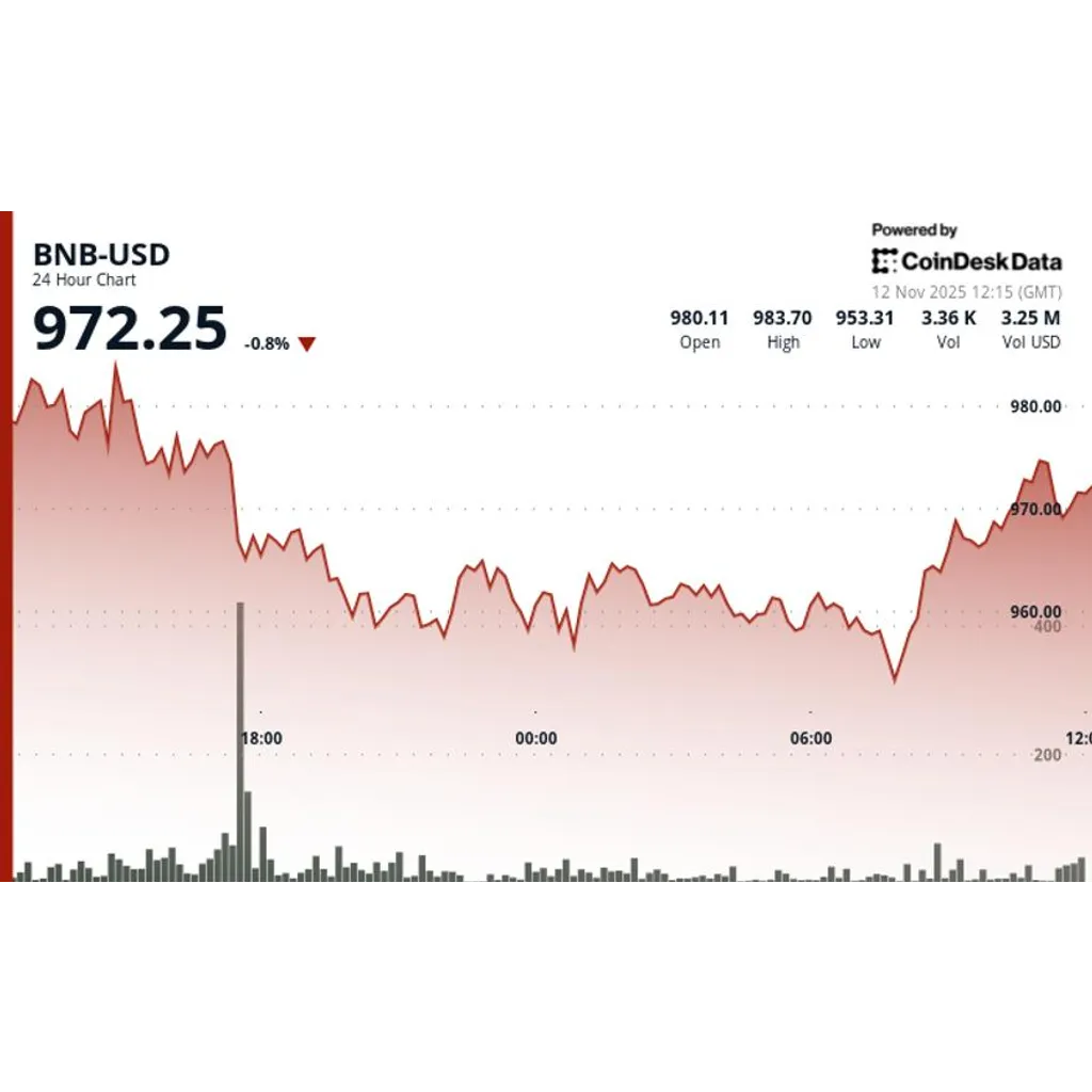BNB recovers above 0 after brief drop amid market volatility BNB recovers above 0 after brief drop amid market volatility