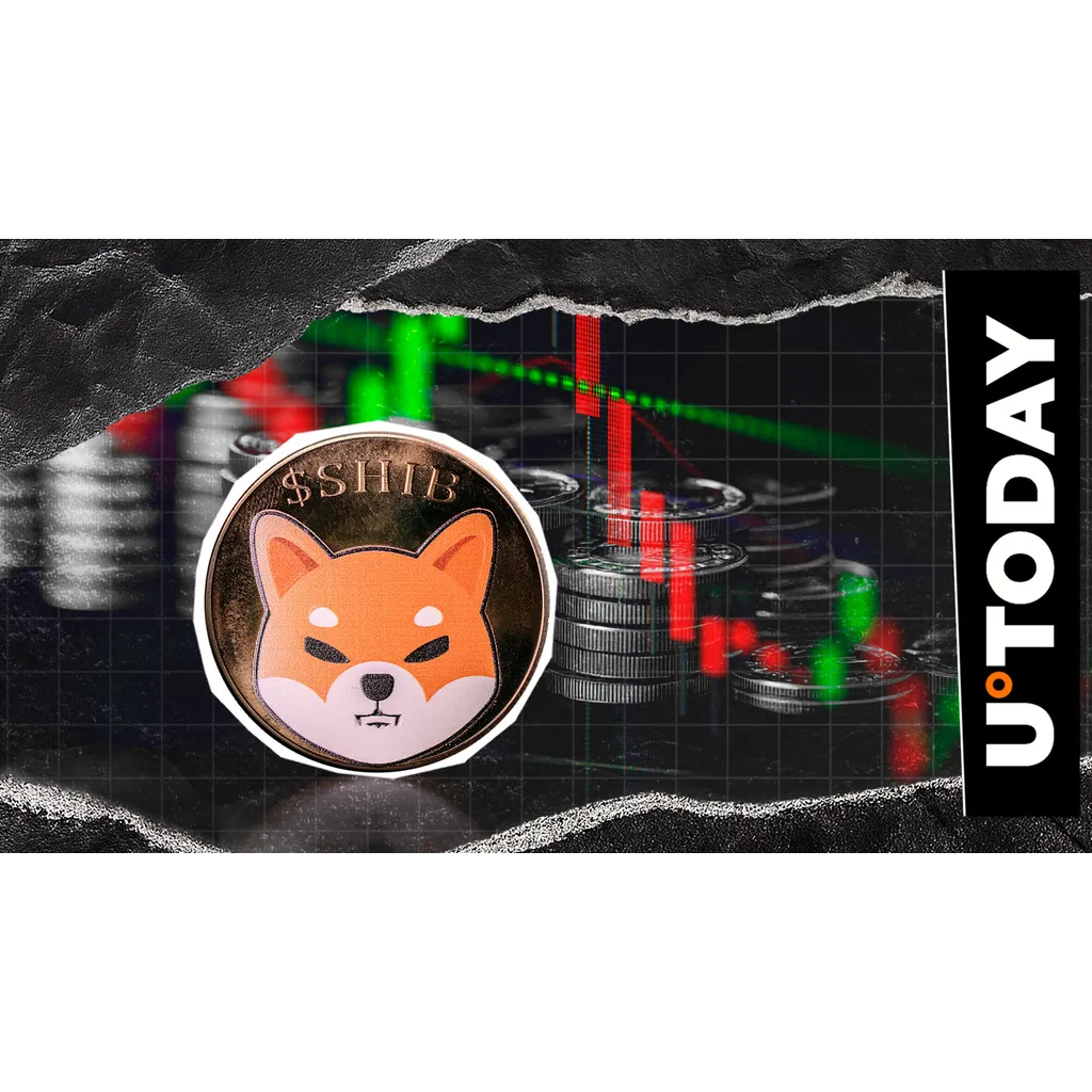 SHIB cryptocurrency records 0% surge in market activity SHIB cryptocurrency records 0% surge in market activity