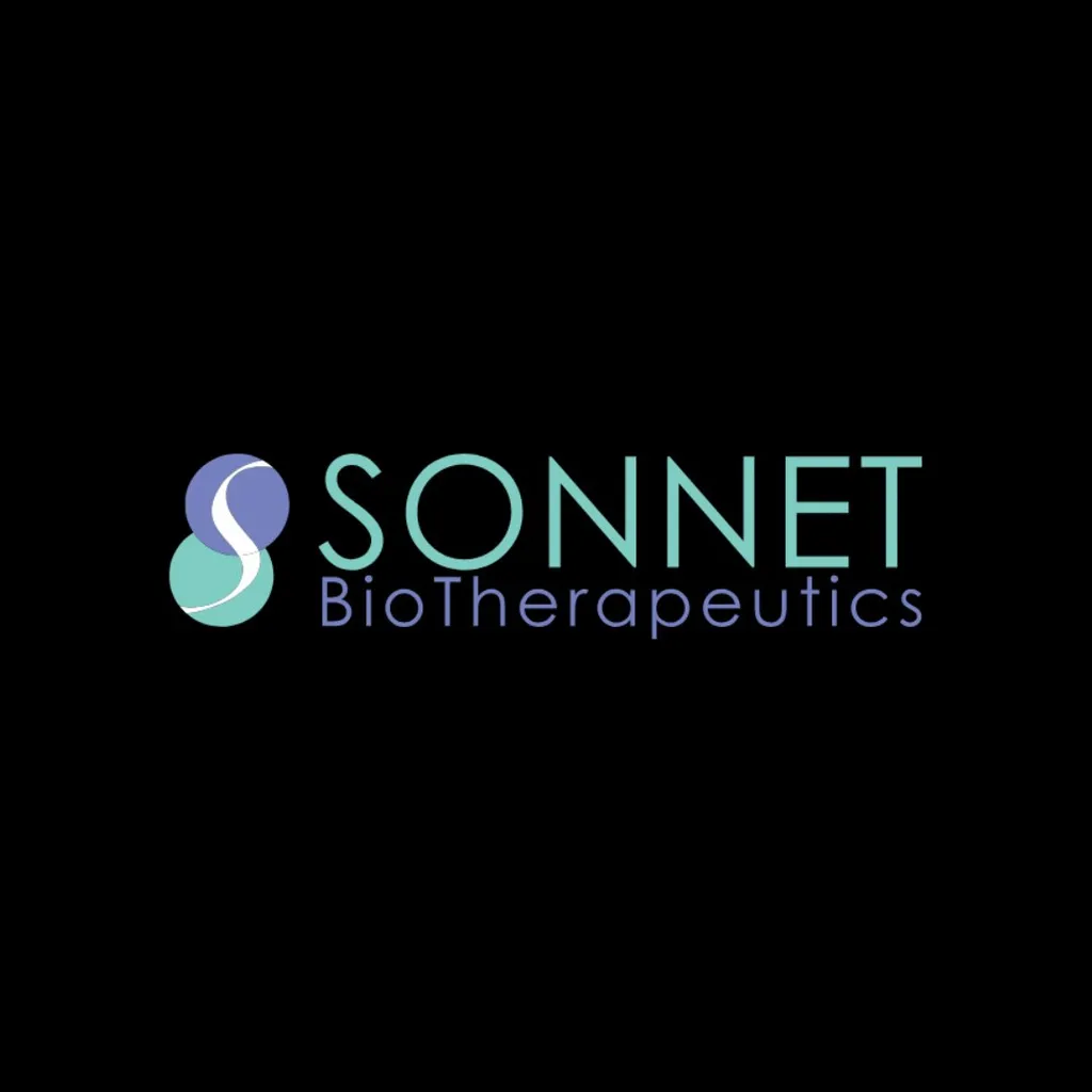 Nasdaq’s Sonnet to Merge With Rorschach, Form 8 Million Crypto Treasury Firm – “The Defiant” Nasdaq’s Sonnet to Merge With Rorschach, Form 8 Million Crypto Treasury Firm – “The Defiant”