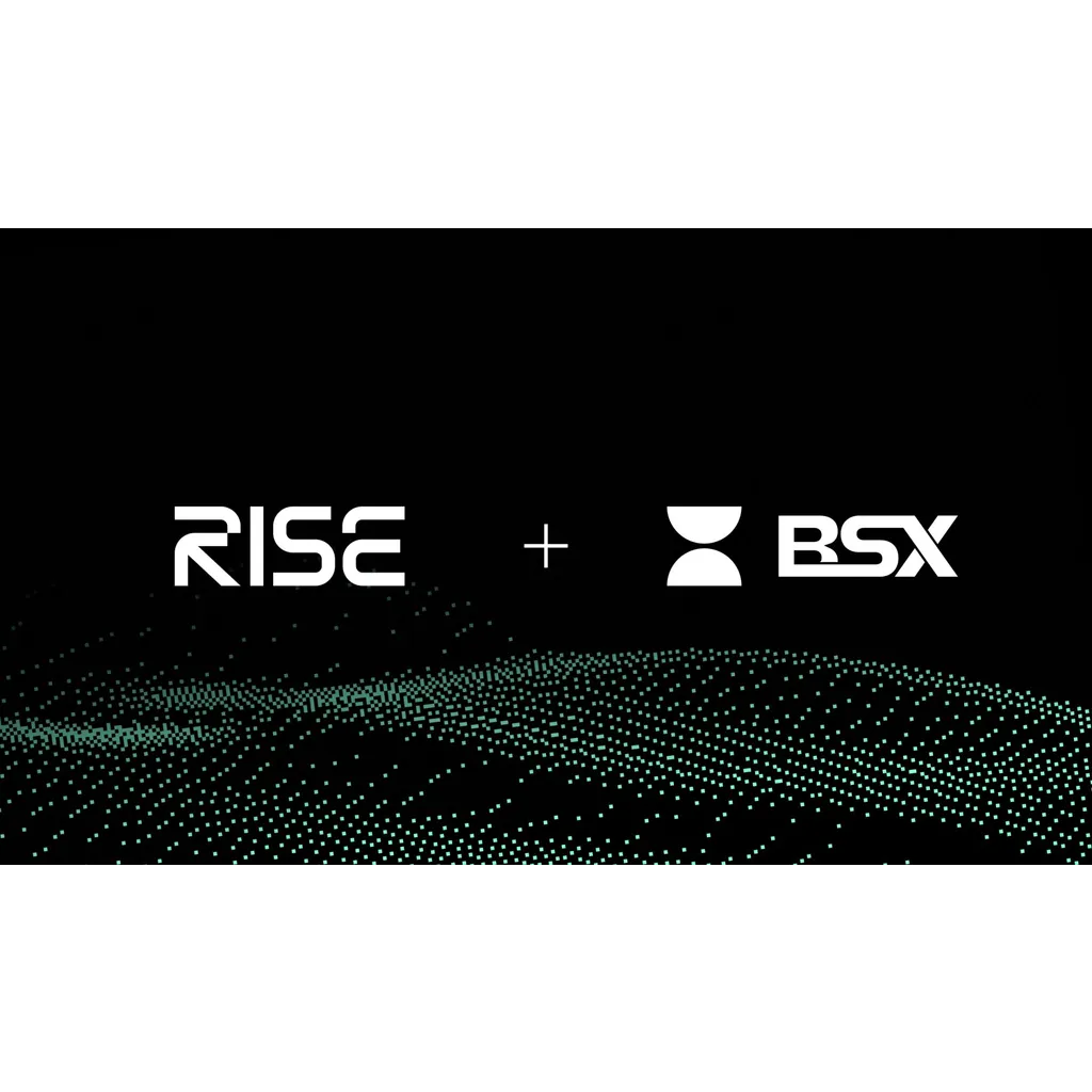 RISE acquires BSX perpetual decentralized exchange to accelerate integrated orderbooks development RISE acquires BSX perpetual decentralized exchange to accelerate integrated orderbooks development