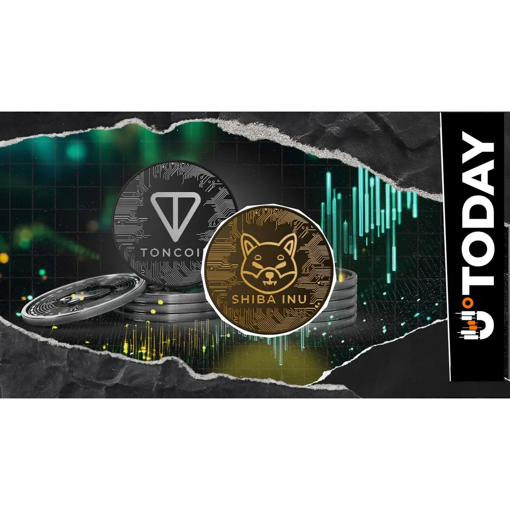 Shiba Inu Flips Toncoin as Price Rockets 11% Shiba Inu Flips Toncoin as Price Rockets 11%