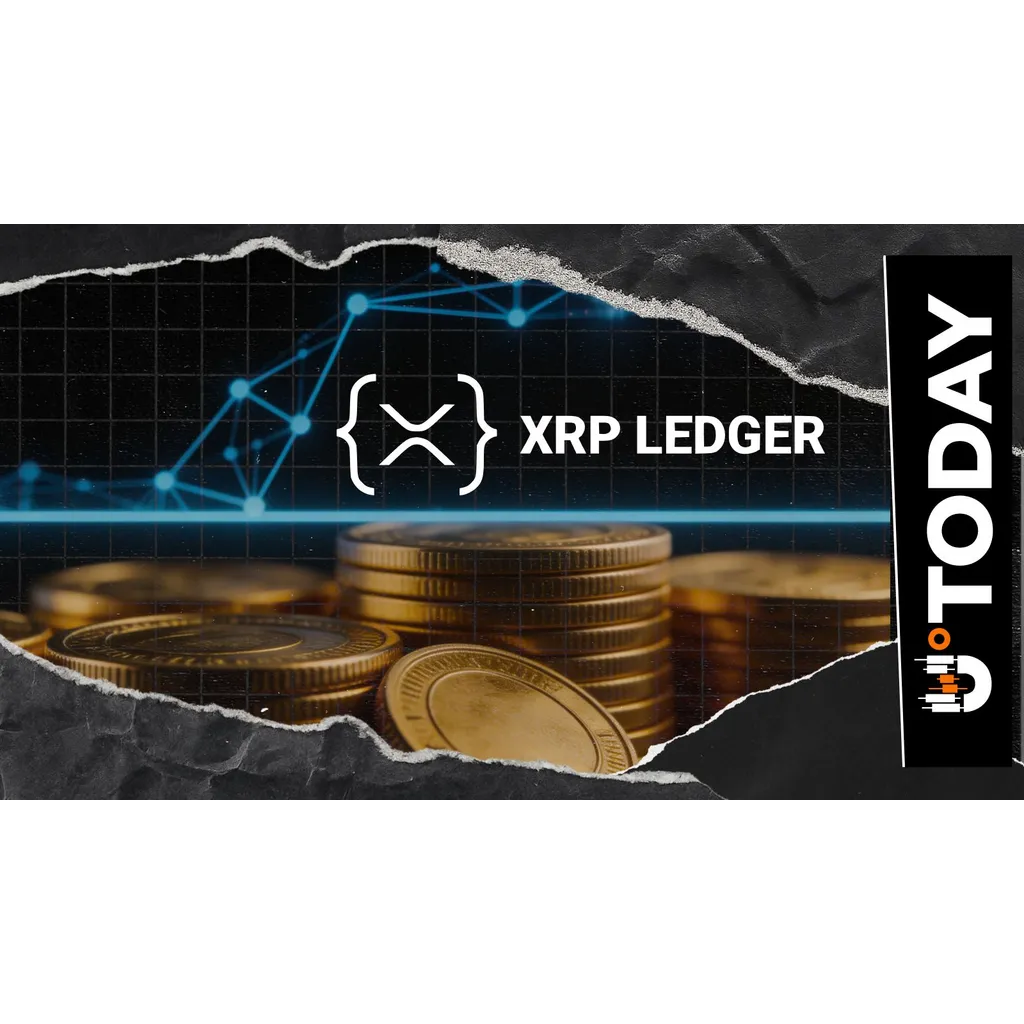 XRP Ledger Validator Breaks Down Recent Transaction Surge XRP Ledger Validator Breaks Down Recent Transaction Surge