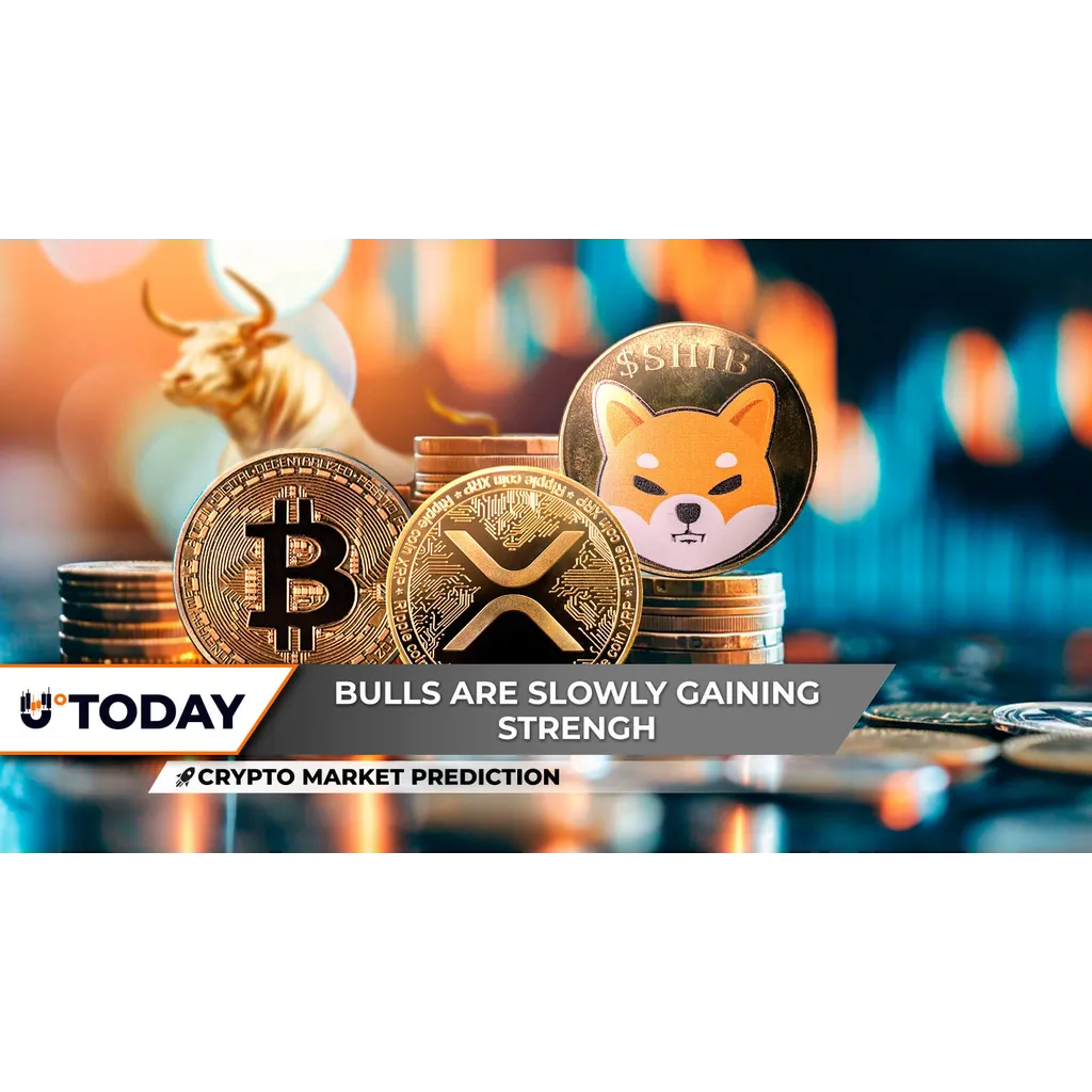 Crypto Market Prediction: No Bitcoin, 0,000 Next Time, Is Shiba Inu (SHIB) Wearing Bull Horns Again? XRP Becoming Dominant Crypto Market Prediction: No Bitcoin, 0,000 Next Time, Is Shiba Inu (SHIB) Wearing Bull Horns Again? XRP Becoming Dominant