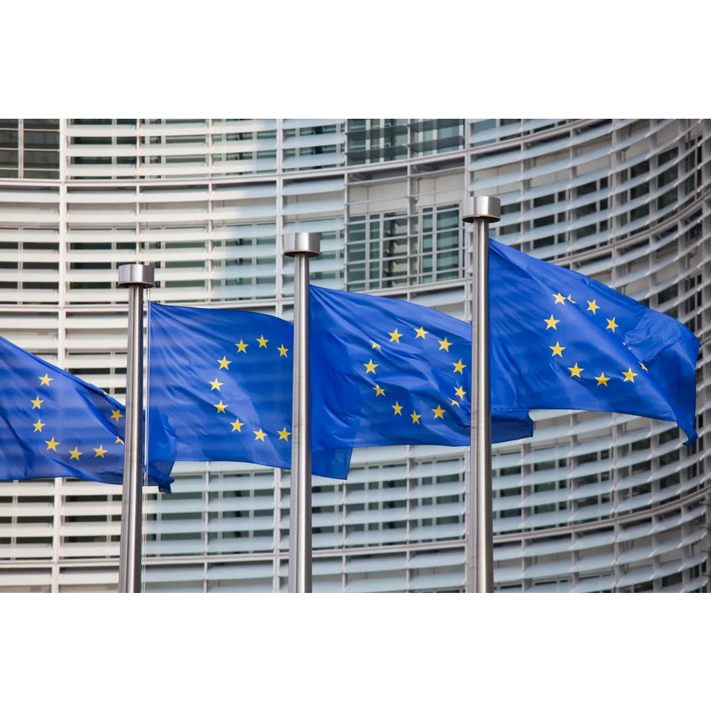 ECB official warns U S market and crypto corrections are a major stability risk ECB official warns U S market and crypto corrections are a major stability risk