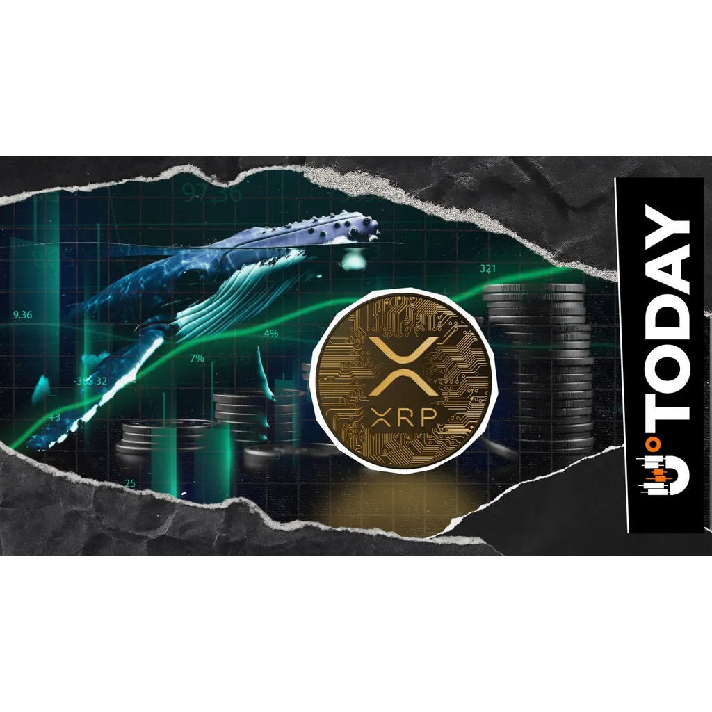 Hyperliquid whale makes unusual XRP investment according to source report Hyperliquid whale makes unusual XRP investment according to source report