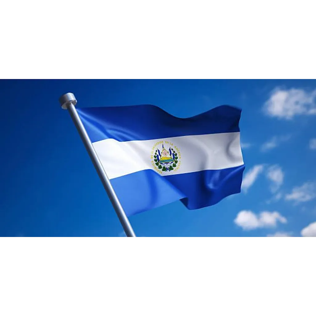 El Salvador plans Bitcoin banks post-legal tender El Salvador plans Bitcoin banks post-legal tender