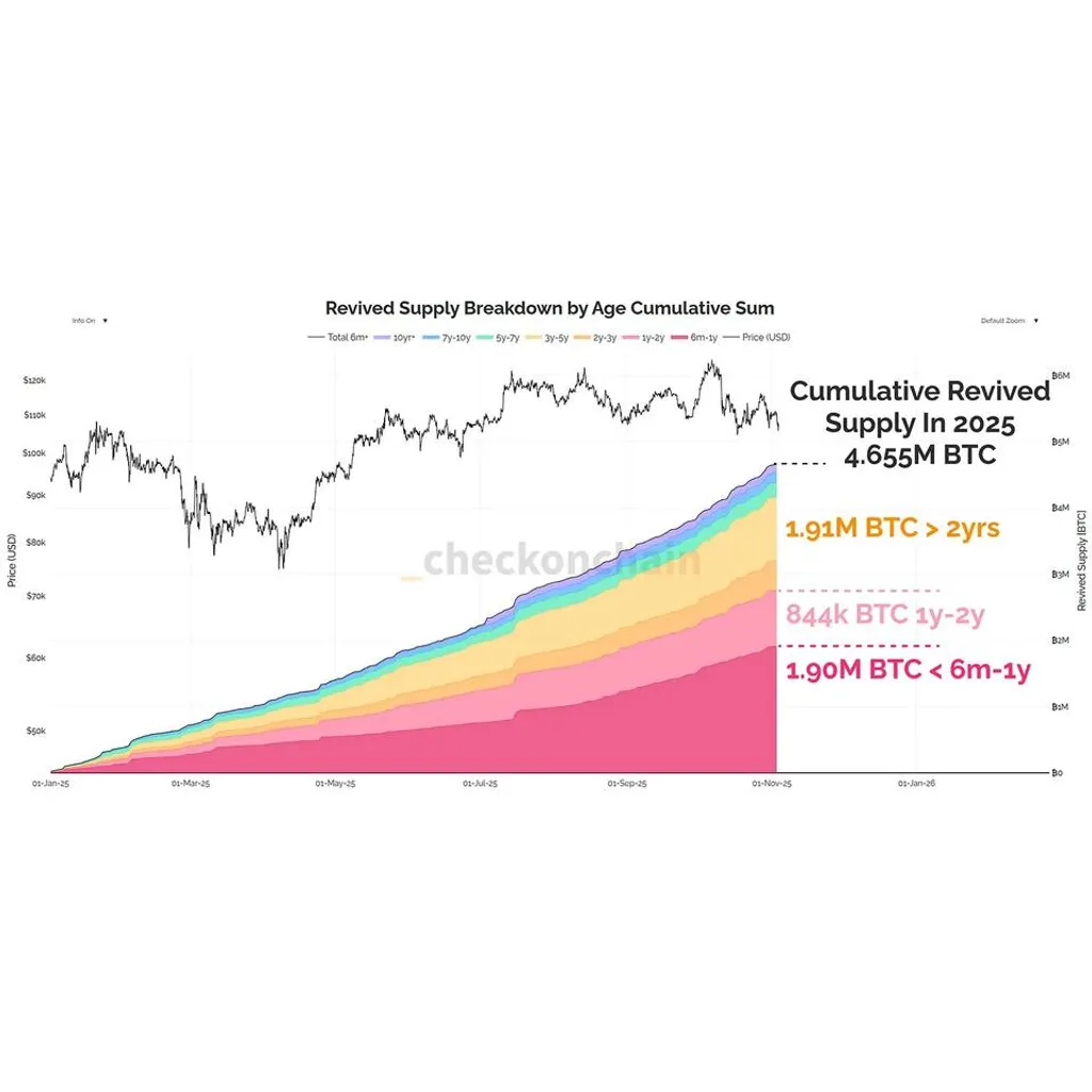 Dormant Bitcoin reenters circulation with 4.65 million BTC moving in 2025 Dormant Bitcoin reenters circulation with 4.65 million BTC moving in 2025