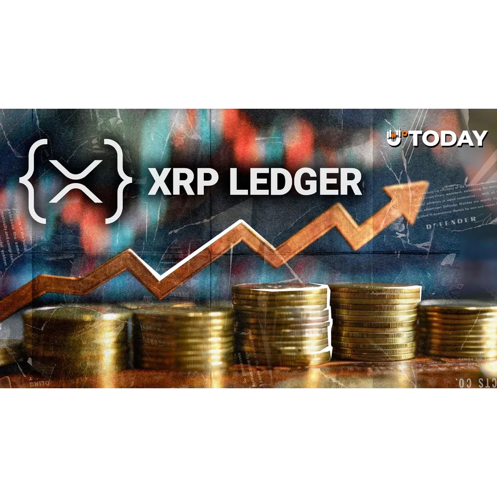 XRP Ledger Activity Grows While Token Price Declines XRP Ledger Activity Grows While Token Price Declines