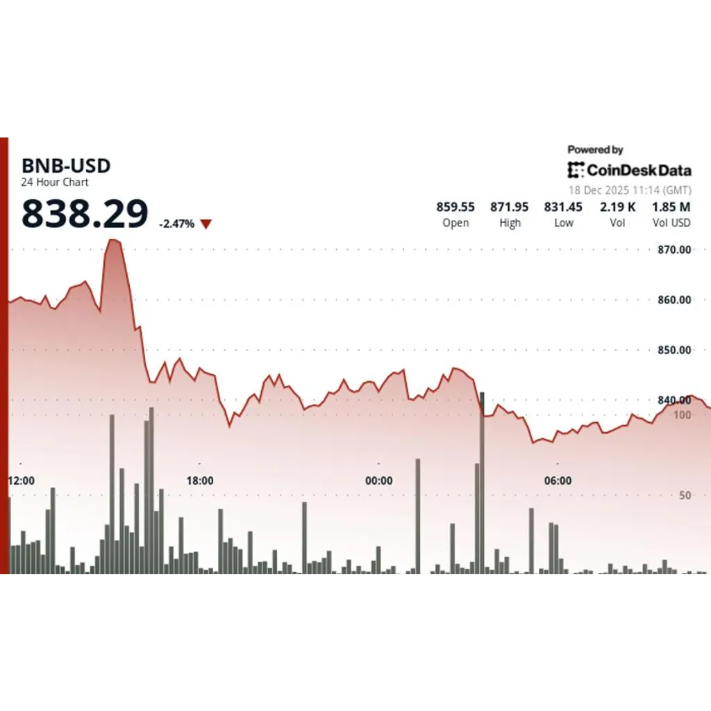 BNB holds fourth-largest crypto spot as price slides and selling pressure builds BNB holds fourth-largest crypto spot as price slides and selling pressure builds
