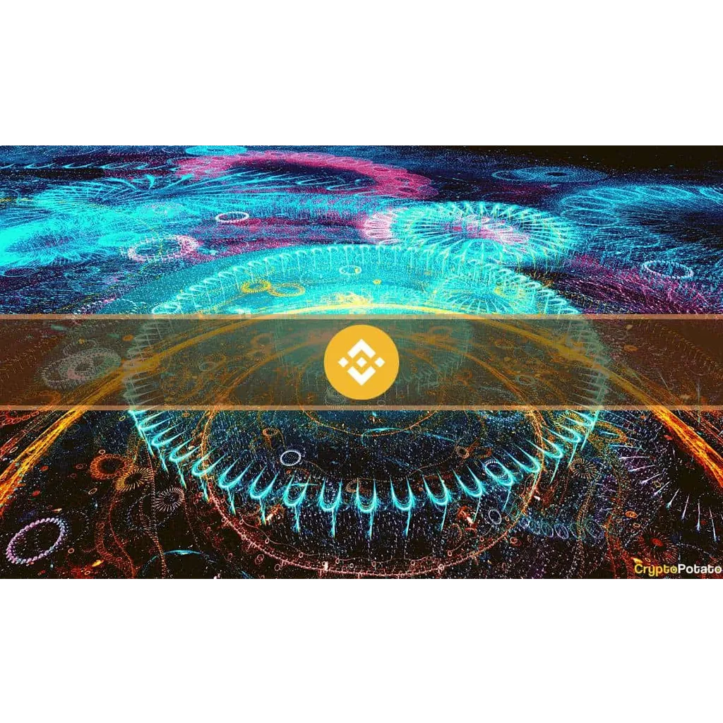 BNB meme coin frenzy creates overnight millionaires and costly mistakes BNB meme coin frenzy creates overnight millionaires and costly mistakes