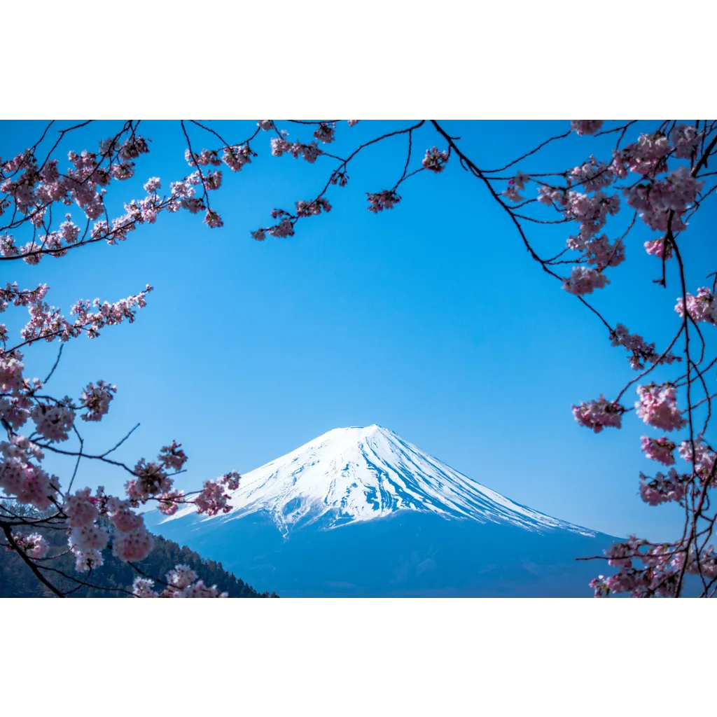Blockchain Alliance: Ripple And Japan’s Web3 Salon Spark Asia Innovation Blockchain Alliance: Ripple And Japan’s Web3 Salon Spark Asia Innovation