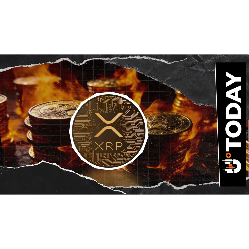 117% XRP Burn Rate Surge Sparks Attention 117% XRP Burn Rate Surge Sparks Attention