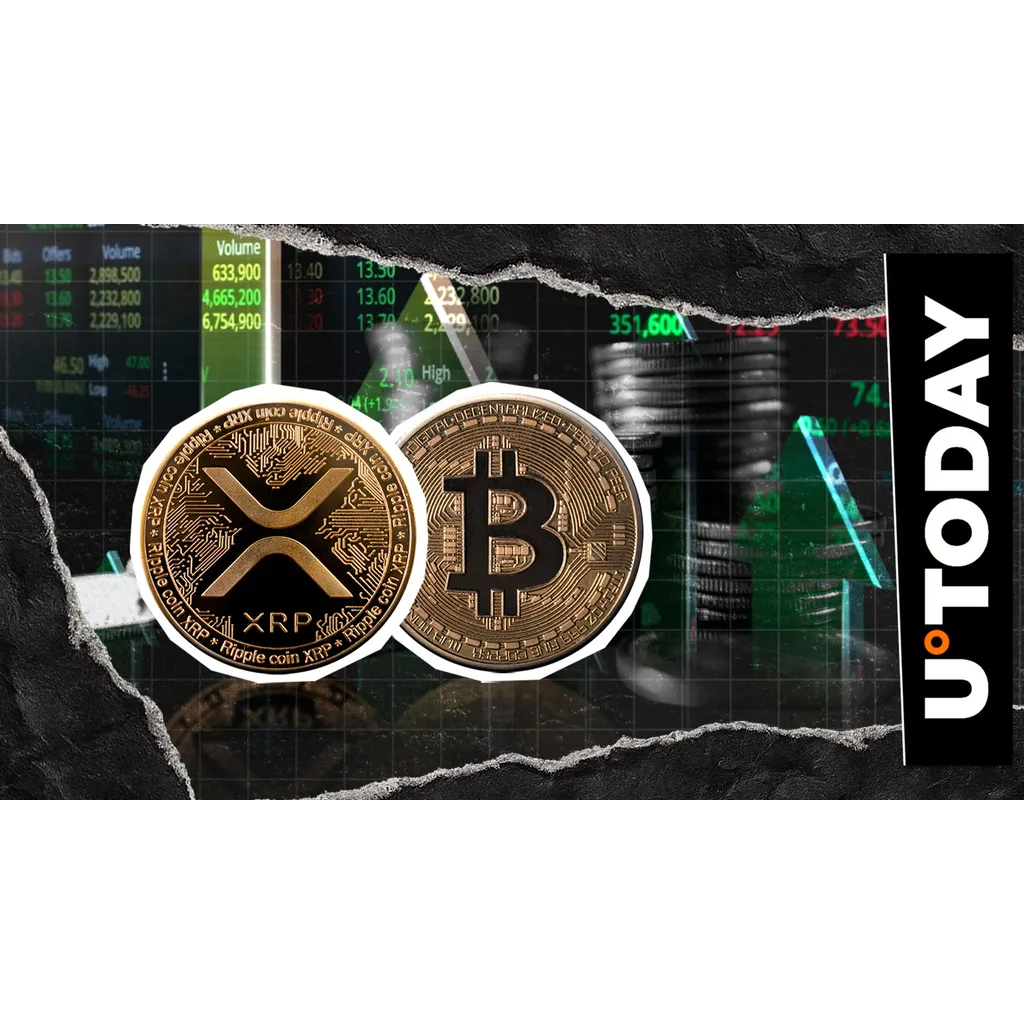 XRP shows sixteen percent growth against Bitcoin in market comparison XRP shows sixteen percent growth against Bitcoin in market comparison