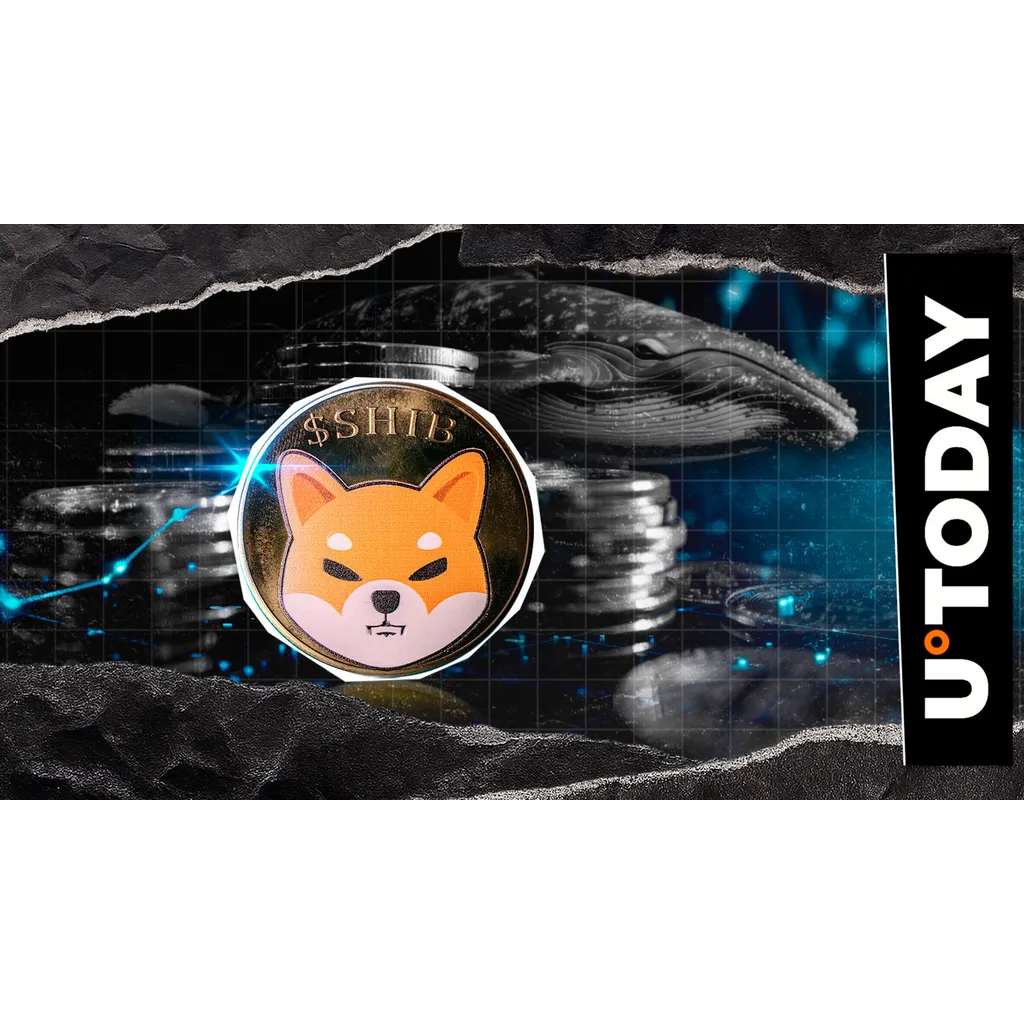 Shiba Inu SHIB god candle possibility examined Shiba Inu SHIB god candle possibility examined