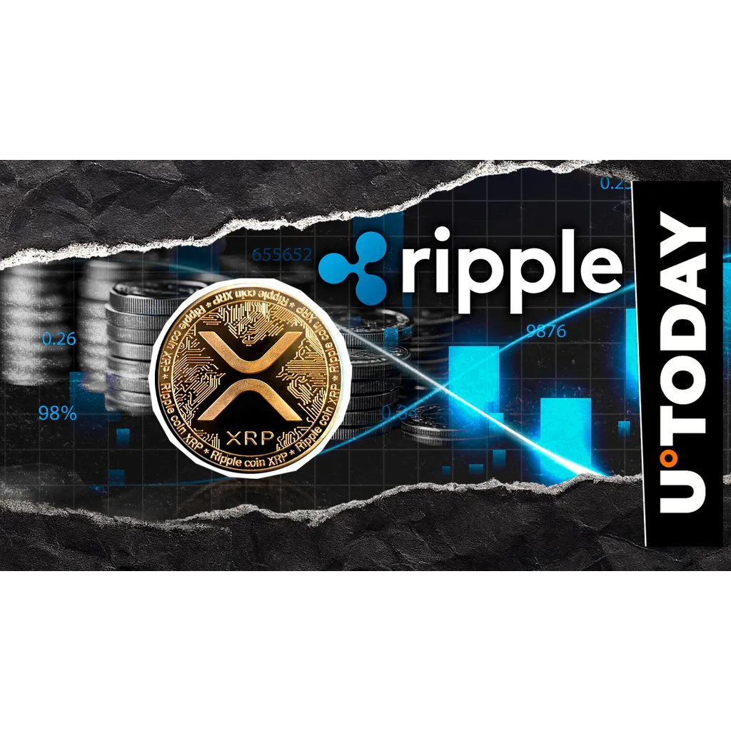 Massive XRP transfer recorded on ledger amid Ripple speculation Massive XRP transfer recorded on ledger amid Ripple speculation