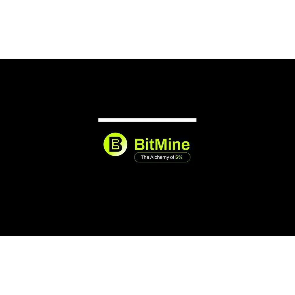 BitMine Immersion prices 5.24 million registered direct offering at per share BitMine Immersion prices 5.24 million registered direct offering at per share