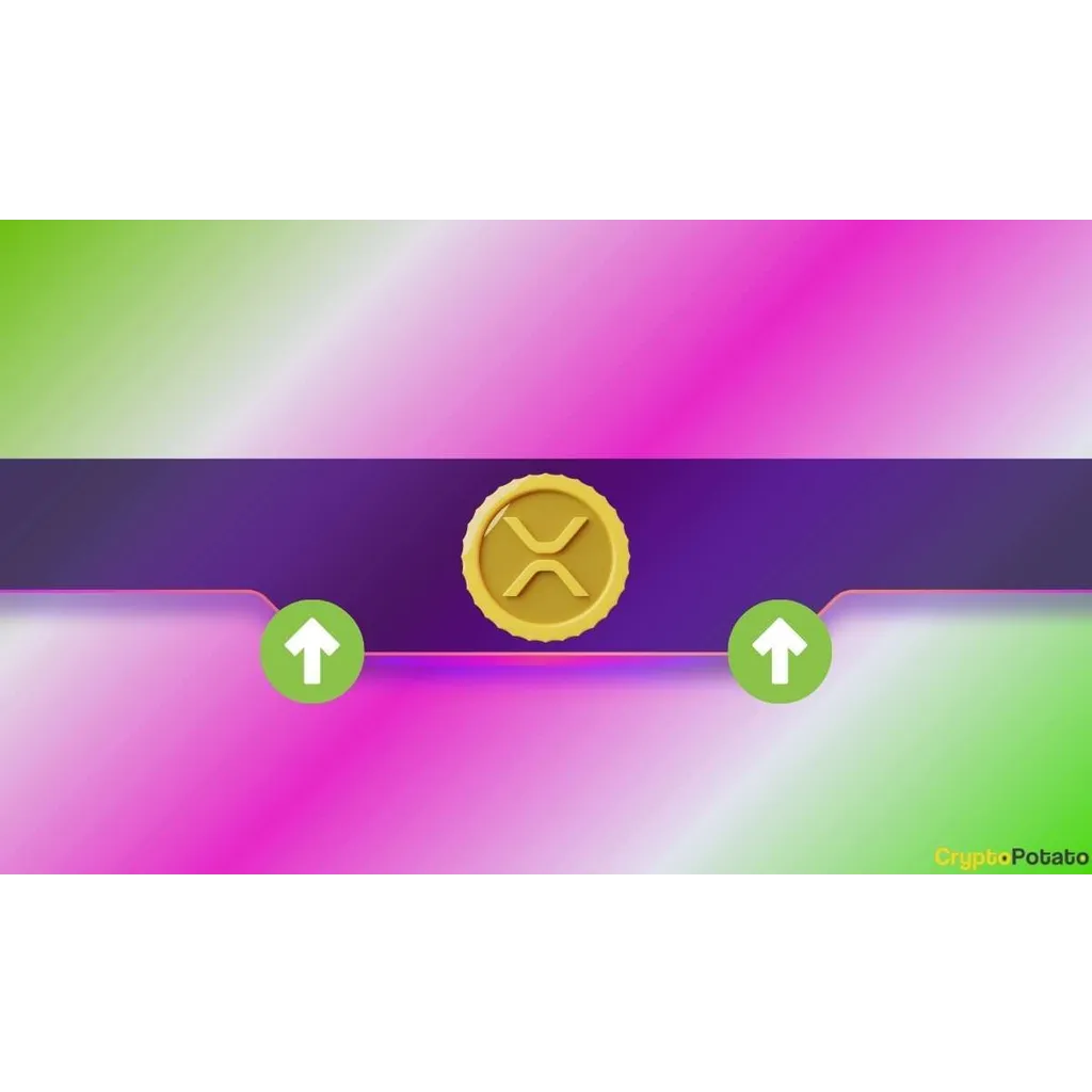 XRP Price Surges Beyond .3, Leaves Over Million in Liquidations XRP Price Surges Beyond .3, Leaves Over Million in Liquidations