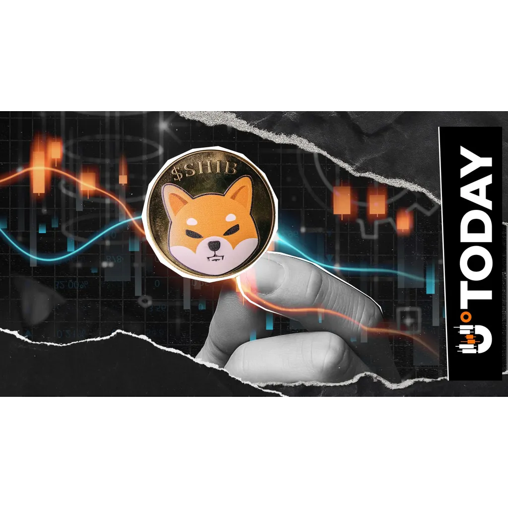 SHIB Will Come Back, Top Shiba Inu Executive Promises SHIB Will Come Back, Top Shiba Inu Executive Promises