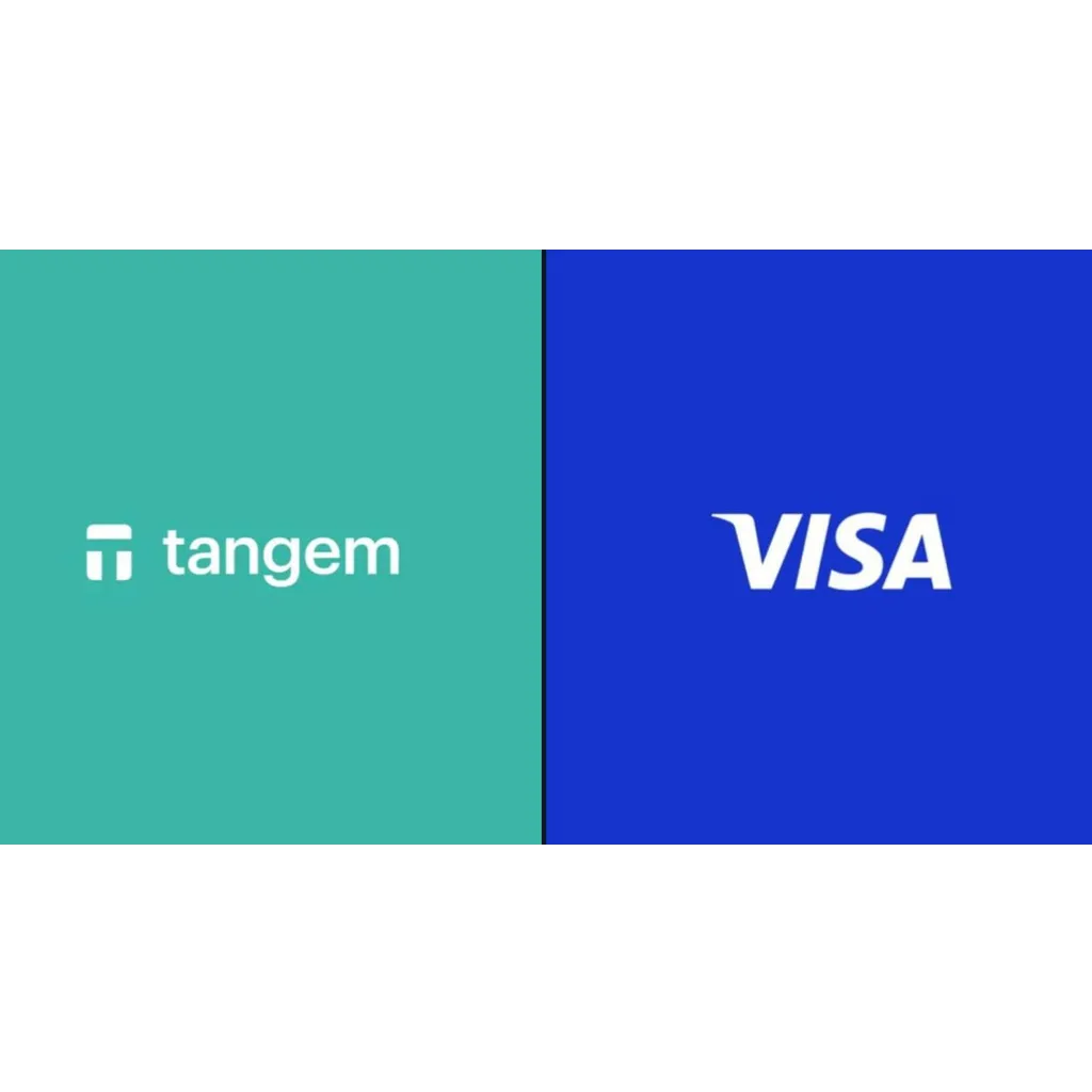 Tangem launches Visa-backed Tangem Pay for global USDC spending Tangem launches Visa-backed Tangem Pay for global USDC spending