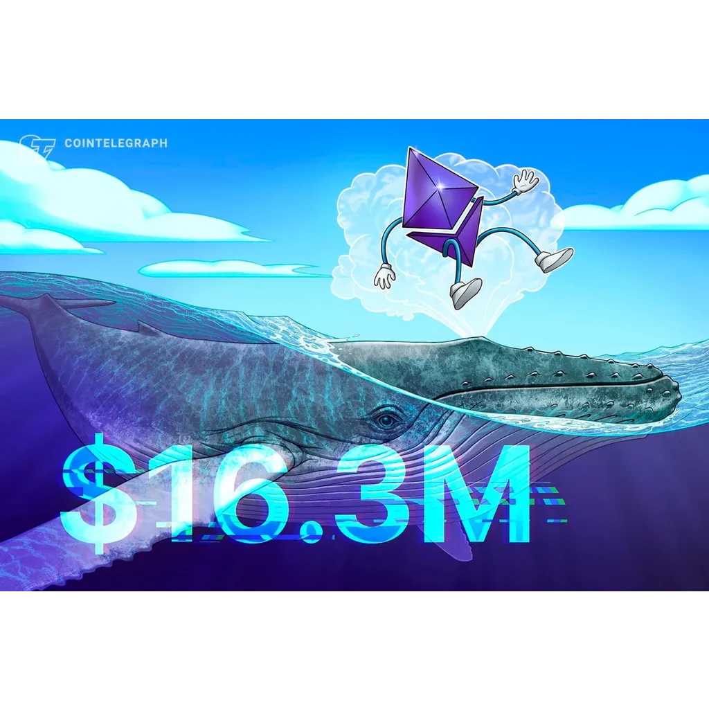 Ethereum whale opens .3 million leveraged long position as ETH nears local bottom Ethereum whale opens .3 million leveraged long position as ETH nears local bottom
