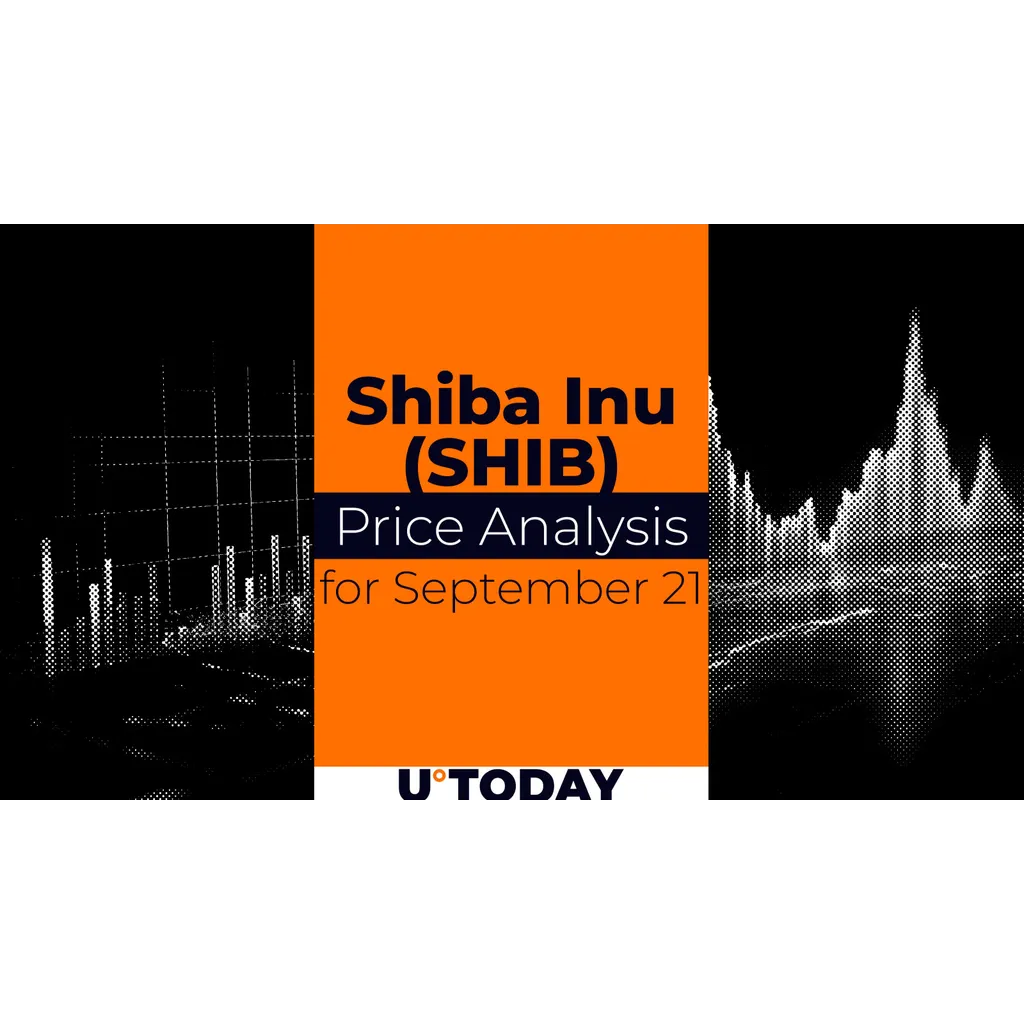 SHIB Price Prediction for September 21 Provides Market Analysis SHIB Price Prediction for September 21 Provides Market Analysis