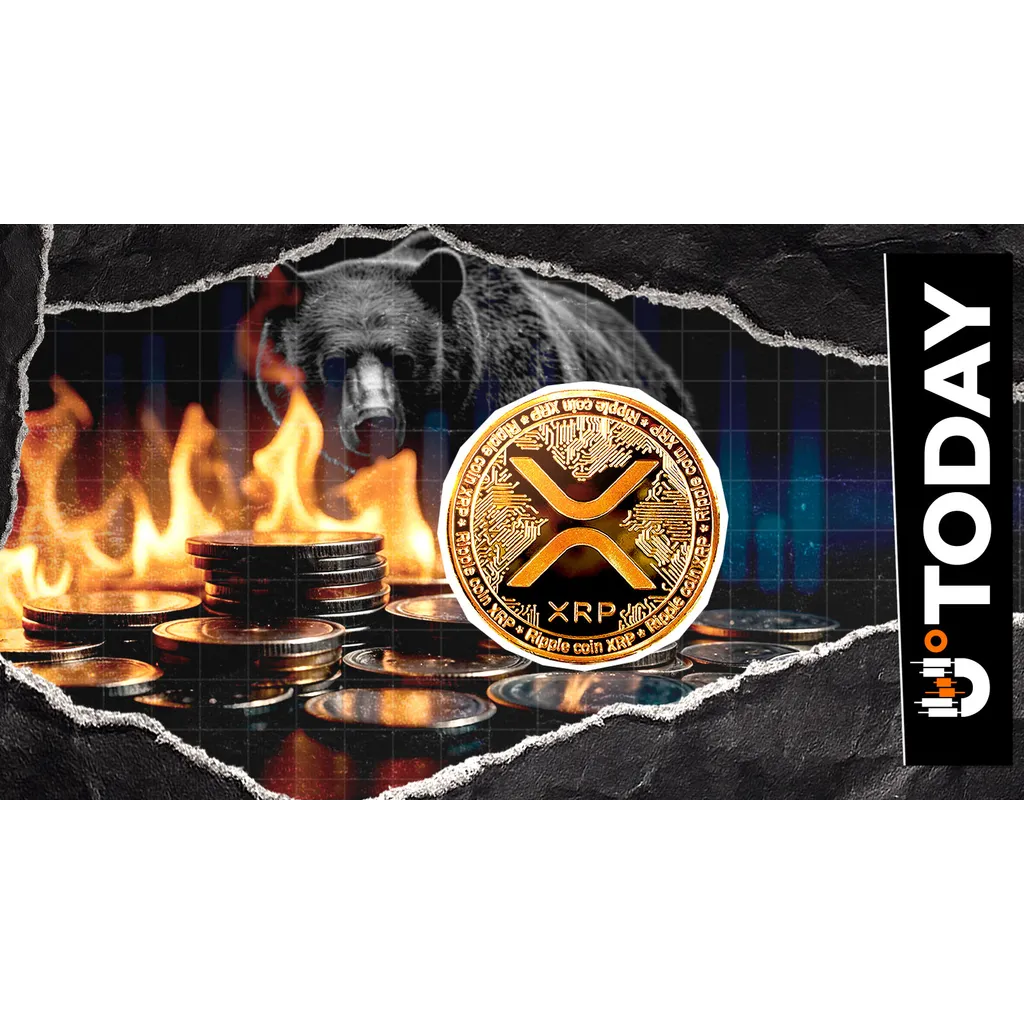 XRP Burns Bears in 37,296% Liquidation Imbalance, And XRP Is Back on the Menu XRP Burns Bears in 37,296% Liquidation Imbalance, And XRP Is Back on the Menu