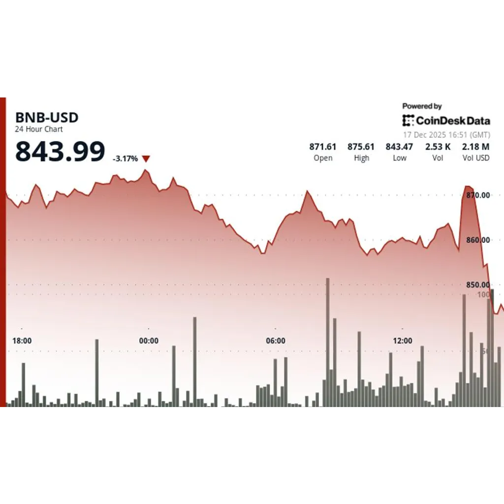BNB drops nearly 3% to as bitcoin whipsaw and tech selloff hit crypto market BNB drops nearly 3% to as bitcoin whipsaw and tech selloff hit crypto market
