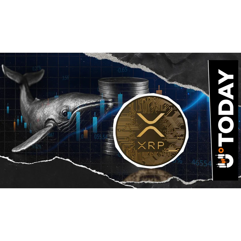 XRP Whales Add Over 4.18 Billion XRP Since October Price Flash Crash XRP Whales Add Over 4.18 Billion XRP Since October Price Flash Crash
