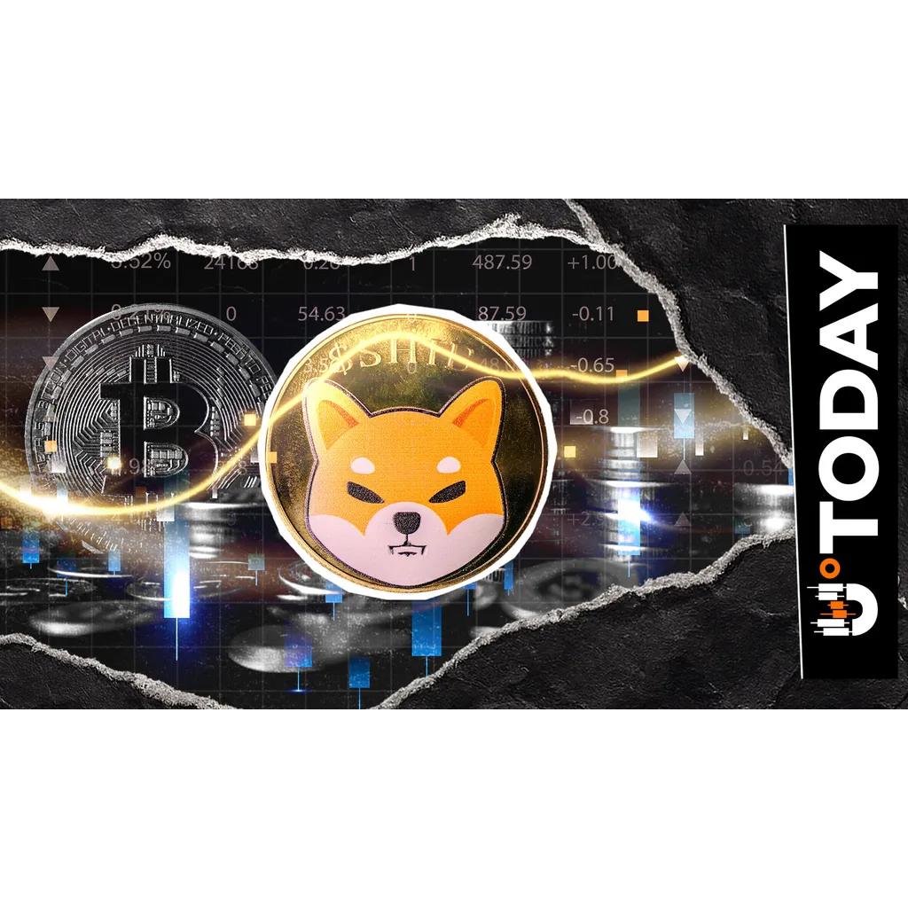 Shiba Inu Shows Rare Strength Versus Bitcoin According to Analysis Shiba Inu Shows Rare Strength Versus Bitcoin According to Analysis