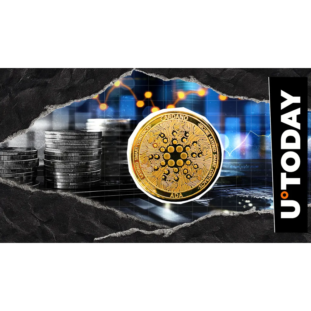 Cardano processes .61 billion in transactions as ADA momentum lags Cardano processes .61 billion in transactions as ADA momentum lags