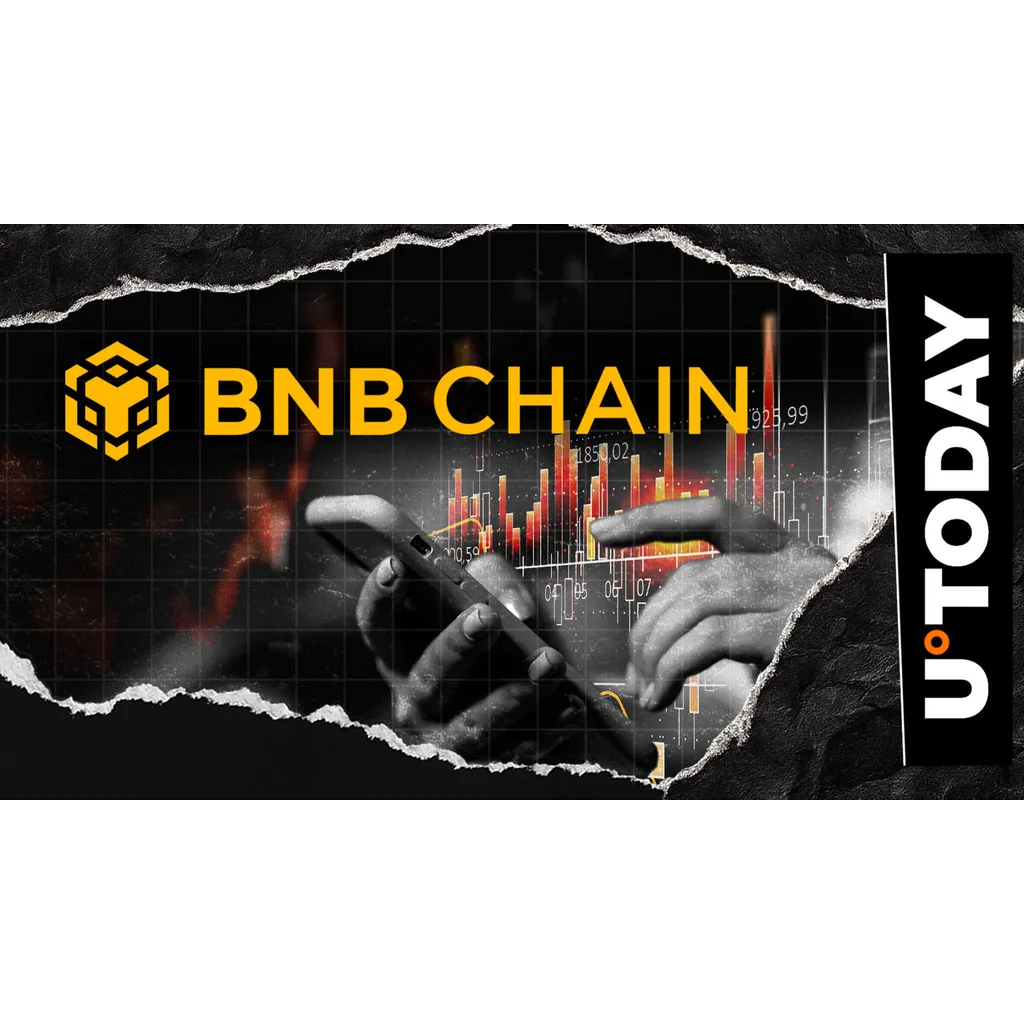 OracleBNB deletes social media after rugpull on BNB Chain OracleBNB deletes social media after rugpull on BNB Chain