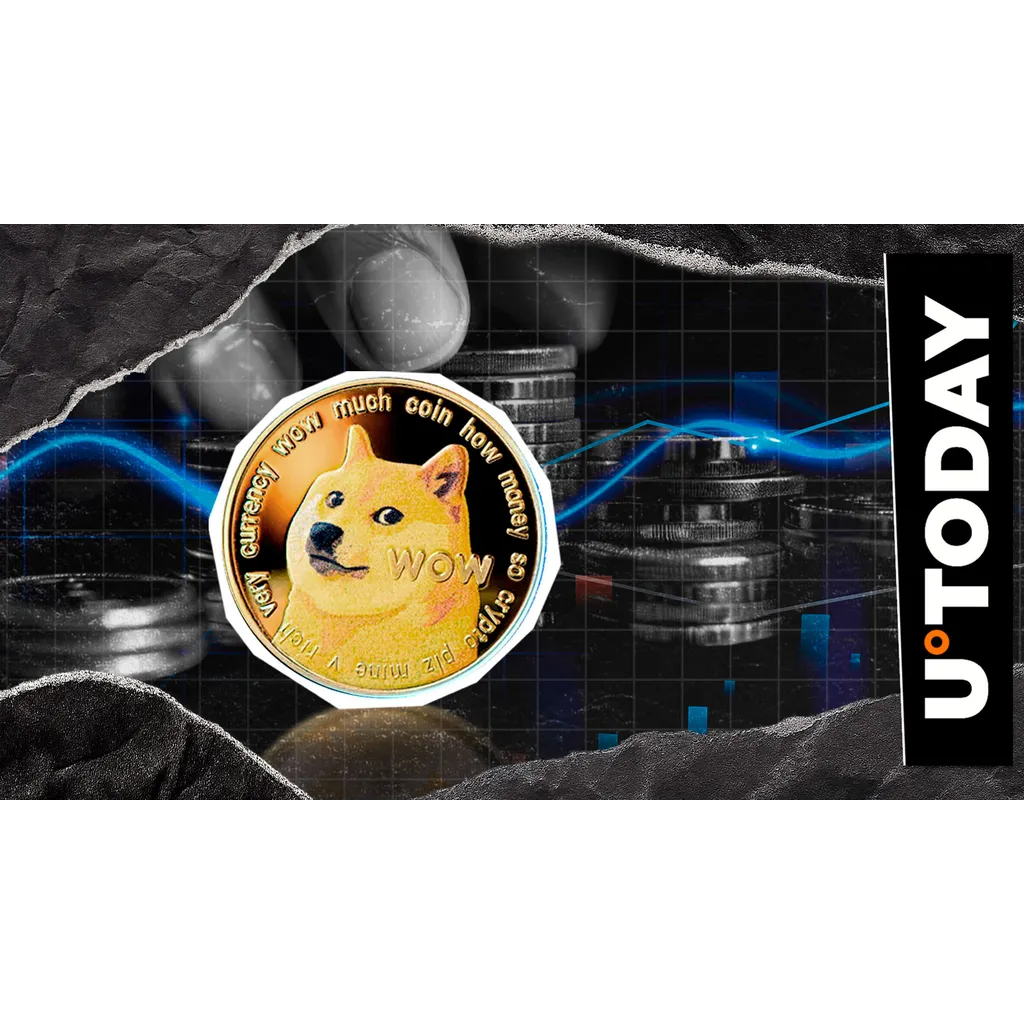 Dogecoin clarifies no new token exists for community awareness Dogecoin clarifies no new token exists for community awareness
