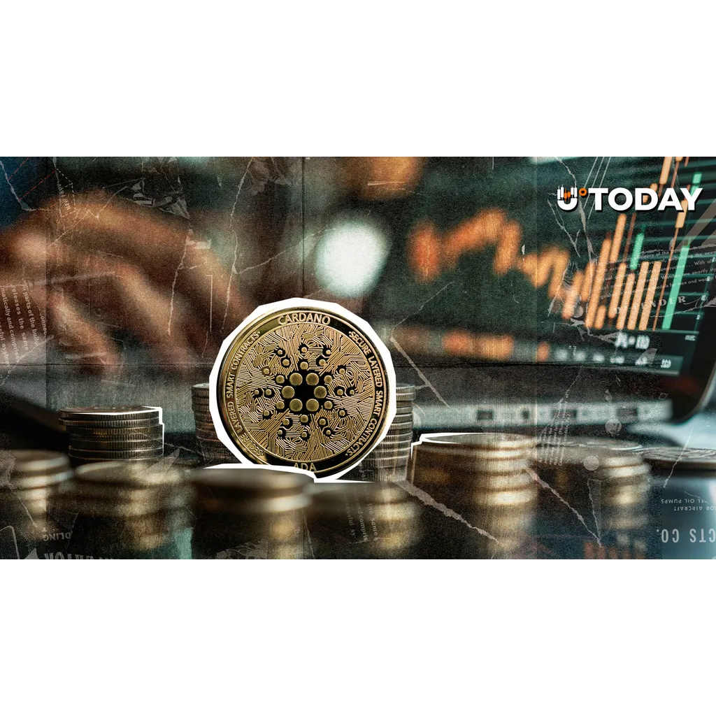 Large Cardano Holders Add 819 Million ADA as Price Falls 71% Large Cardano Holders Add 819 Million ADA as Price Falls 71%