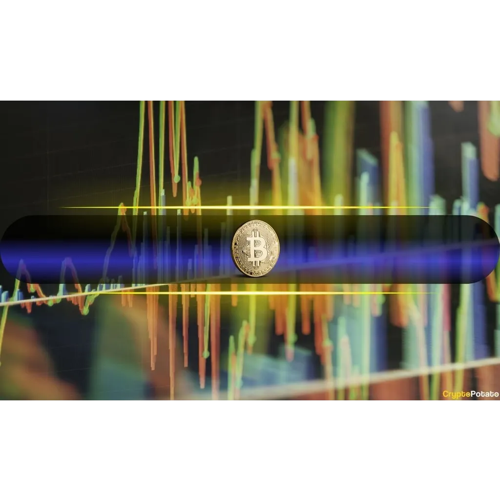 Long-term holder stability contrasts with short-term holder aggression in Bitcoin markets Long-term holder stability contrasts with short-term holder aggression in Bitcoin markets