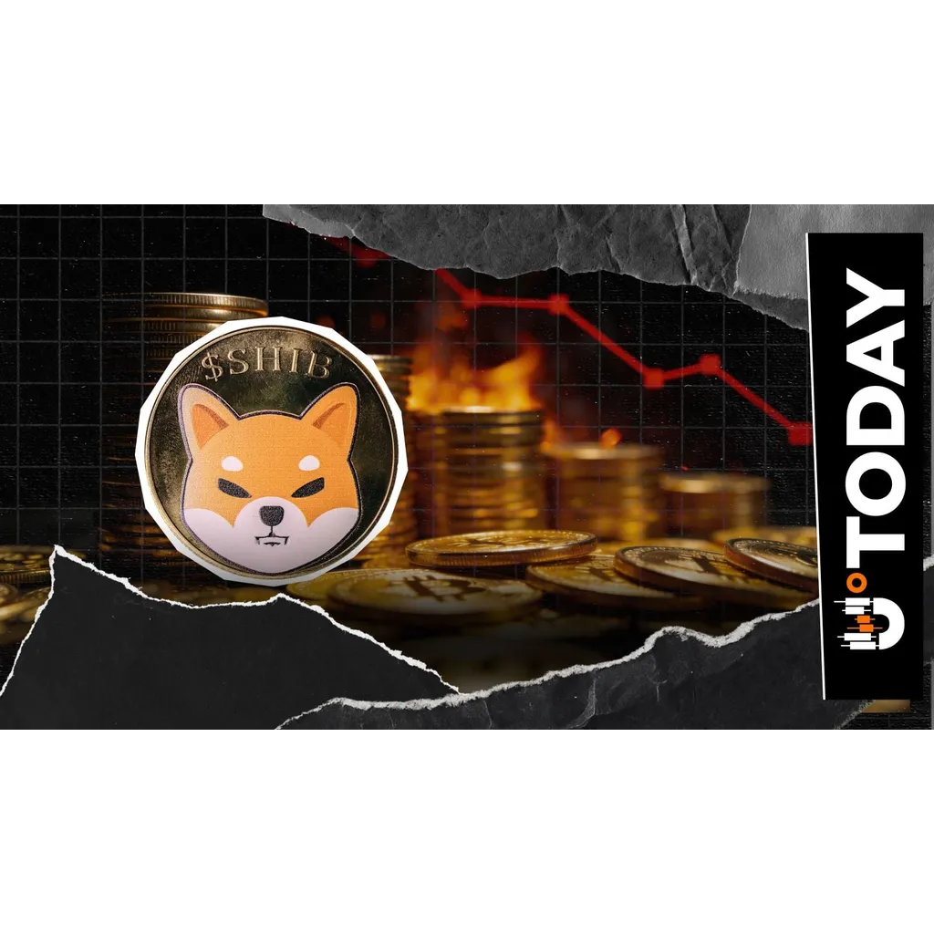 SHIB Burns Collapse by 100% to Lowest Values This Month SHIB Burns Collapse by 100% to Lowest Values This Month