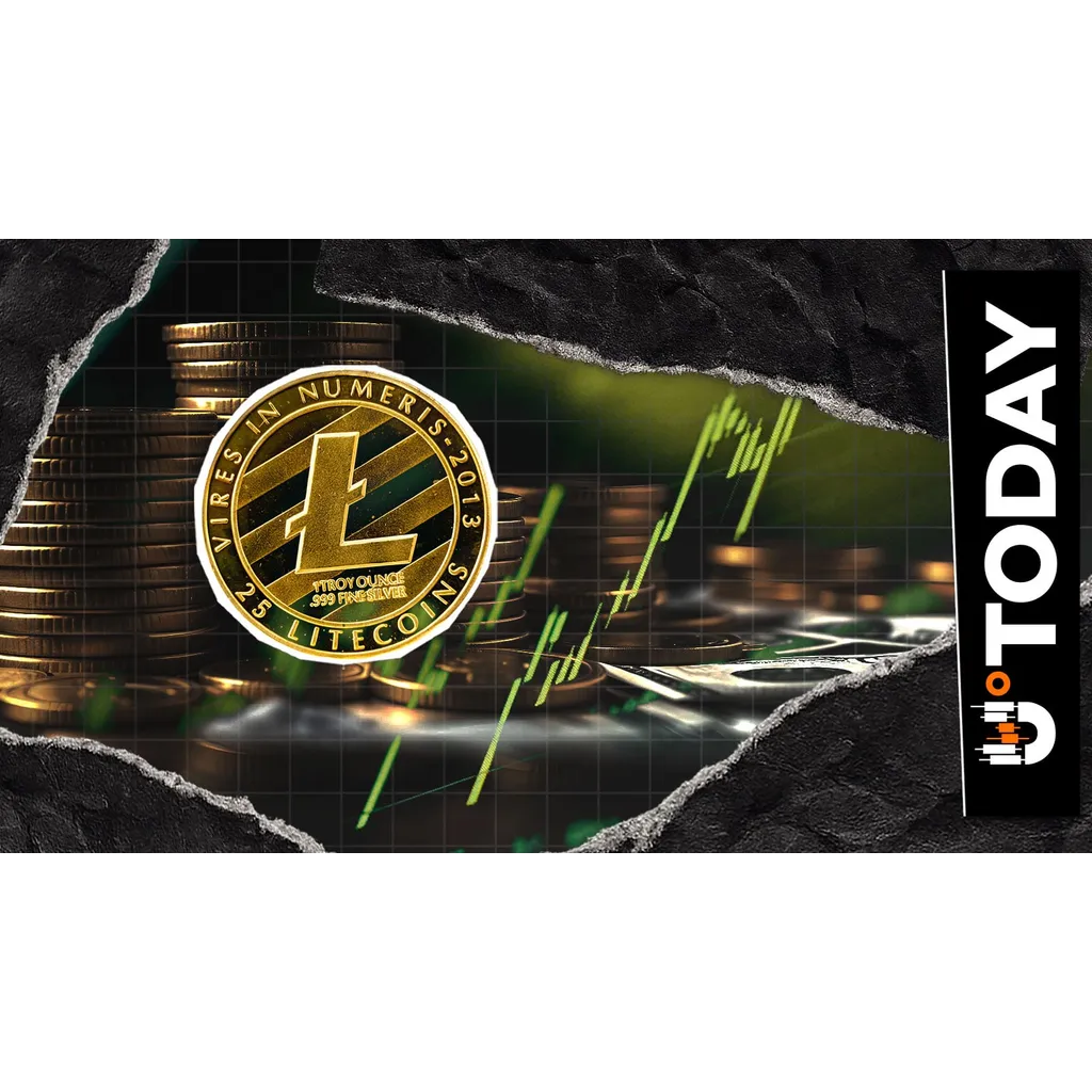 Litecoin Flips Bitcoin, Dogecoin and Dash as Active Addresses Top 237,000 Litecoin Flips Bitcoin, Dogecoin and Dash as Active Addresses Top 237,000