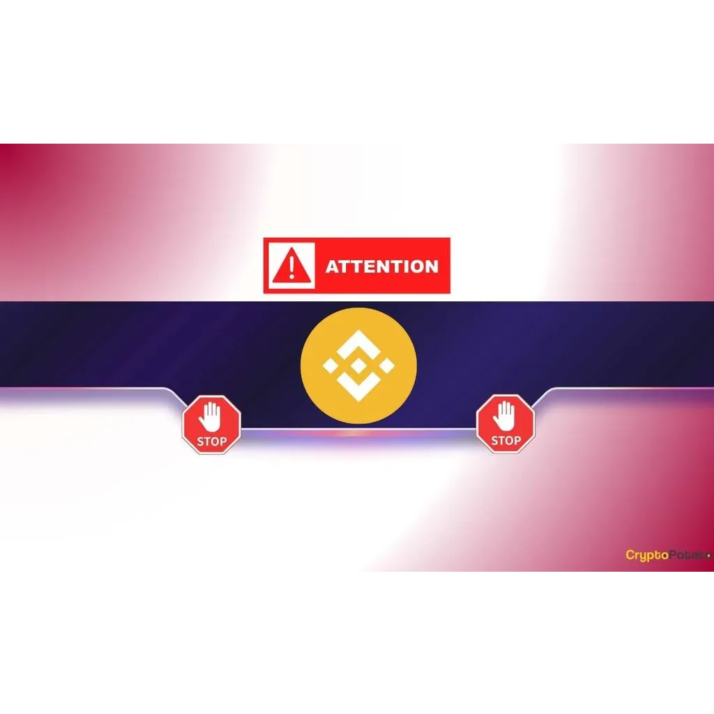Binance suspends withdrawals and deposits Binance suspends withdrawals and deposits