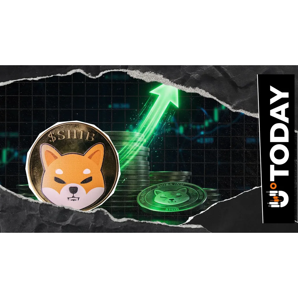 Shiba Inu Crypto Exchange Netflow Jumps 208% as SHIB Volatility Returns Shiba Inu Crypto Exchange Netflow Jumps 208% as SHIB Volatility Returns