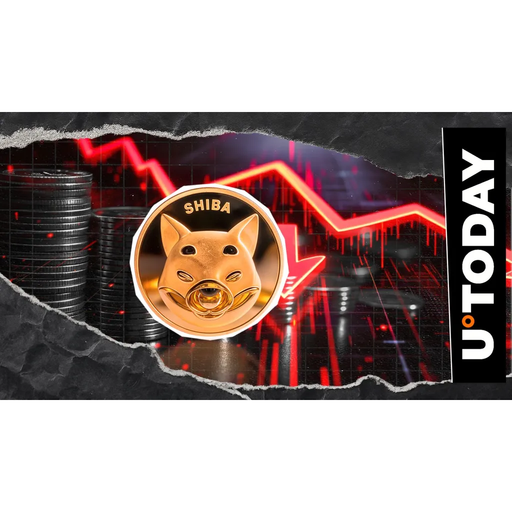 Shiba Inu recorded negative crypto exchange netflow of -485,685,800,000 tokens Shiba Inu recorded negative crypto exchange netflow of -485,685,800,000 tokens