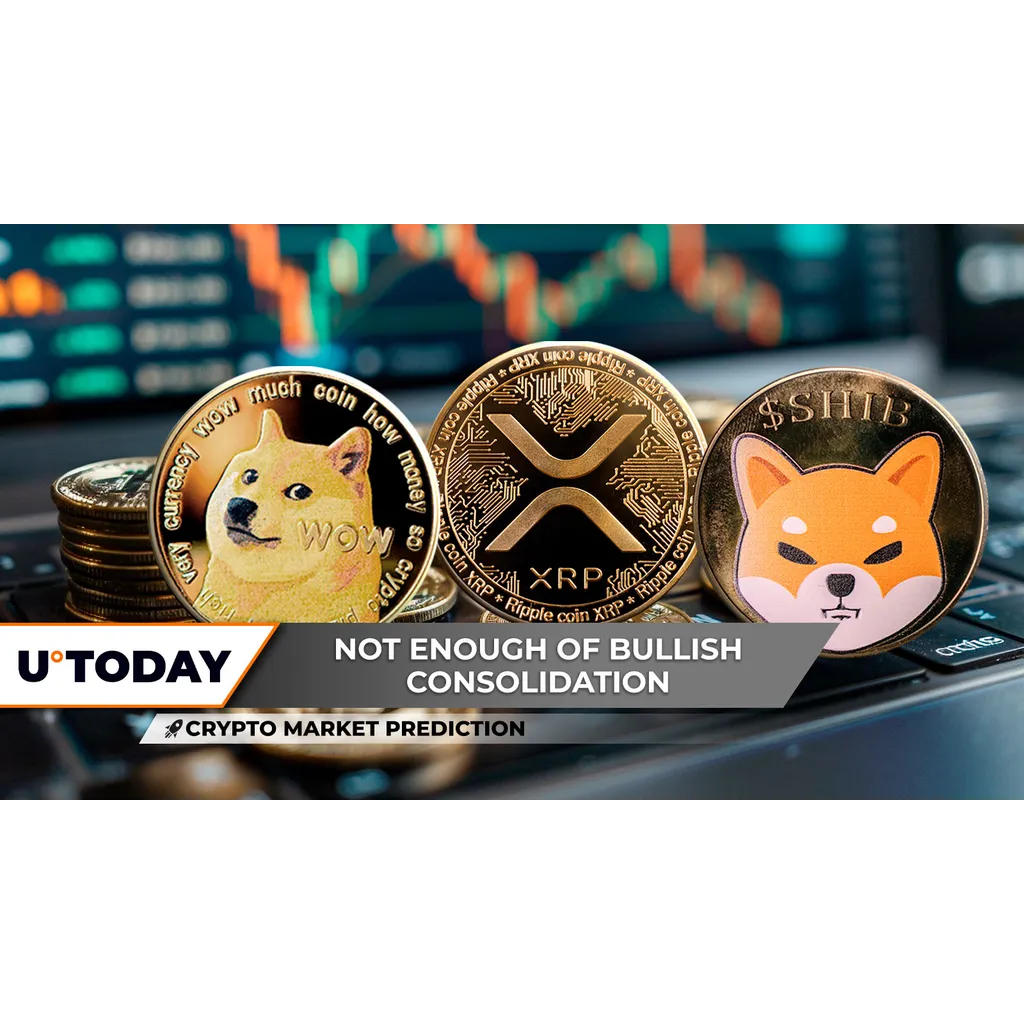 Shiba Inu and Dogecoin show different price trajectories while XRP anticipates major event Shiba Inu and Dogecoin show different price trajectories while XRP anticipates major event