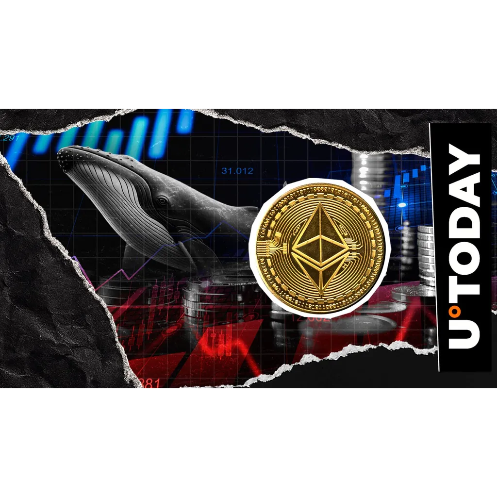 Ethereum gains whale attention following a twelve percent price decline Ethereum gains whale attention following a twelve percent price decline