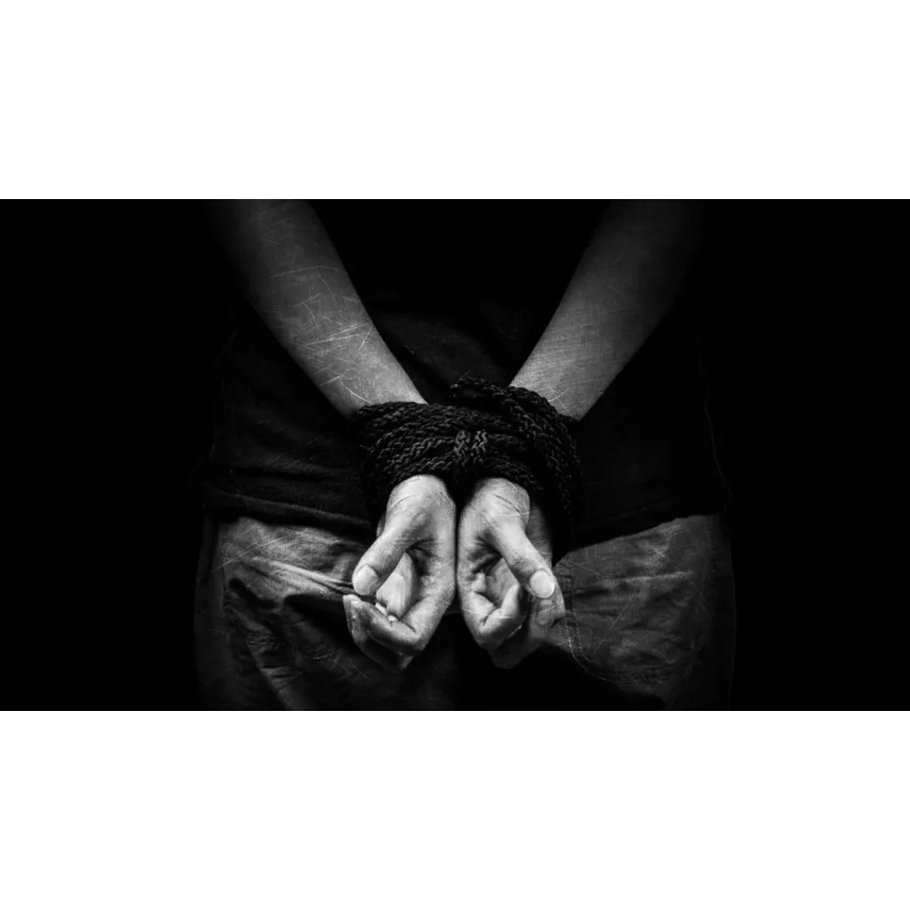 French Magistrate and Mother Rescued After Bitcoin Ransom Kidnapping in Targeted Crypto Attack French Magistrate and Mother Rescued After Bitcoin Ransom Kidnapping in Targeted Crypto Attack