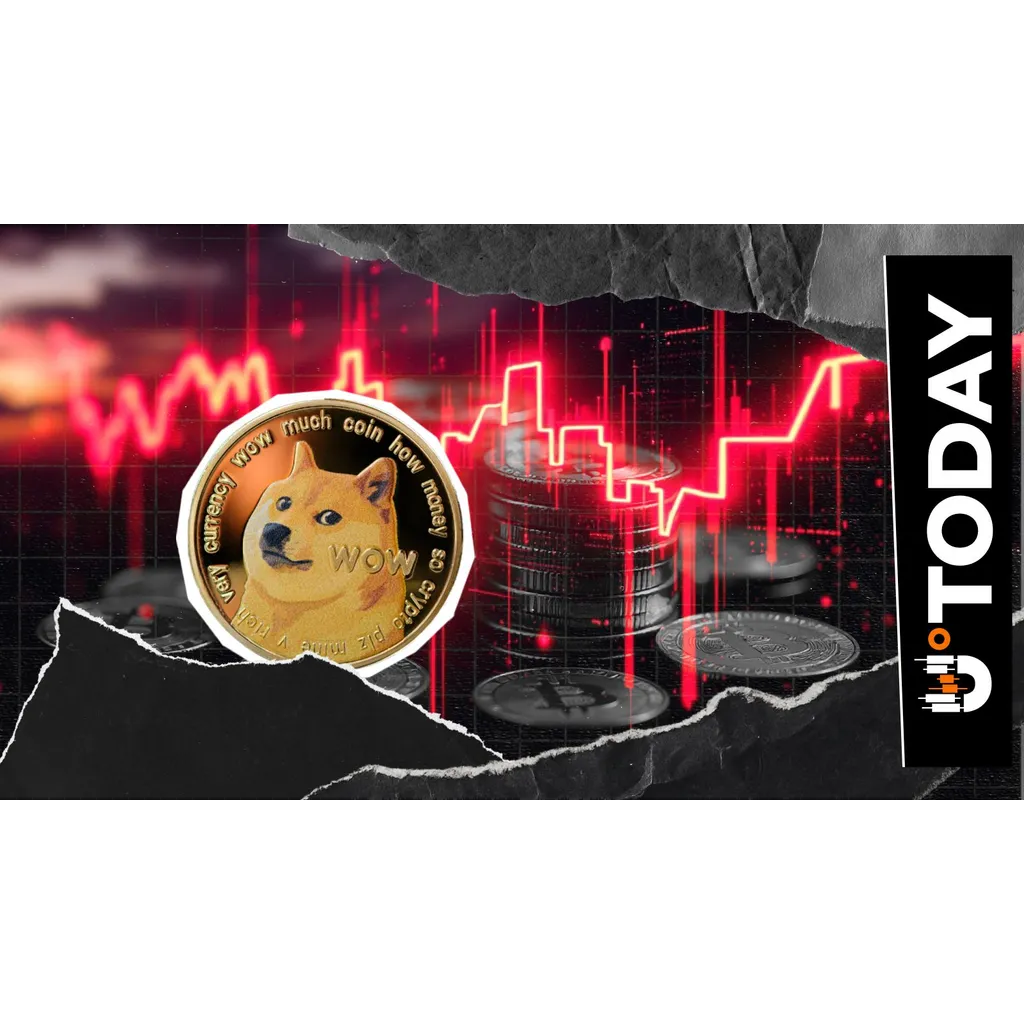 Dogecoin Sees 2,055% Liquidation Imbalance as Bulls Take Over Dogecoin Sees 2,055% Liquidation Imbalance as Bulls Take Over
