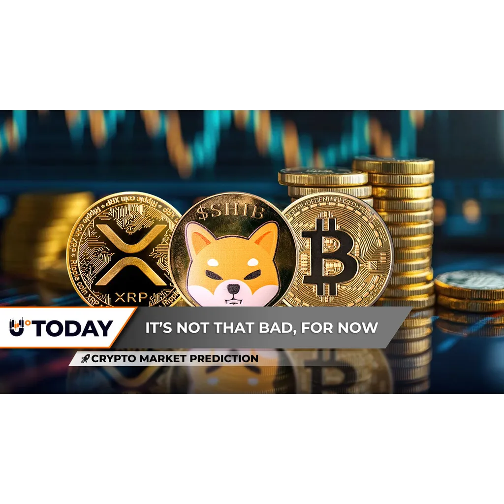 Crypto Market Prediction: Shiba Inu (SHIB) Back in 2023, XRP Can Take Back Already, Is Bitcoin (BTC) Reversal Guaranteed? Crypto Market Prediction: Shiba Inu (SHIB) Back in 2023, XRP Can Take Back Already, Is Bitcoin (BTC) Reversal Guaranteed?