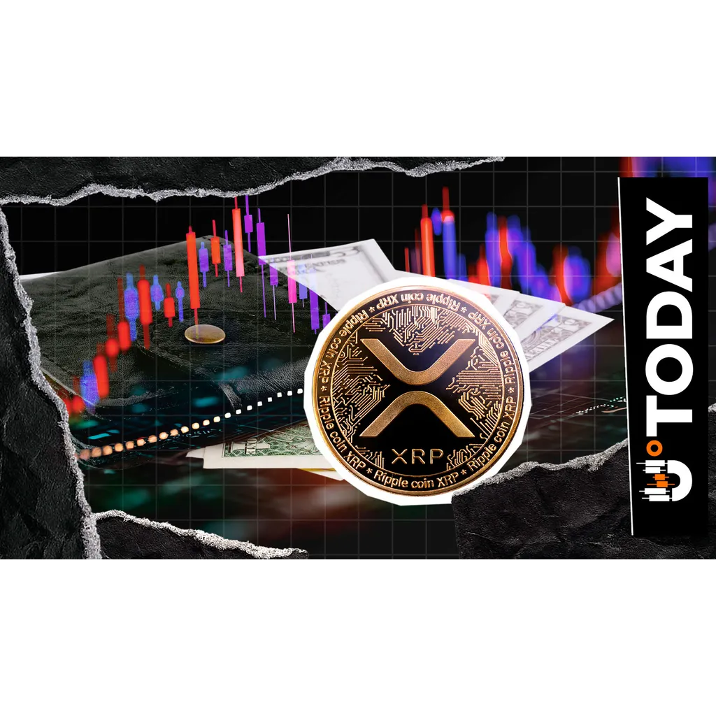 41% Average Losses Hit XRP Wallets: Opportunity or Warning? 41% Average Losses Hit XRP Wallets: Opportunity or Warning?
